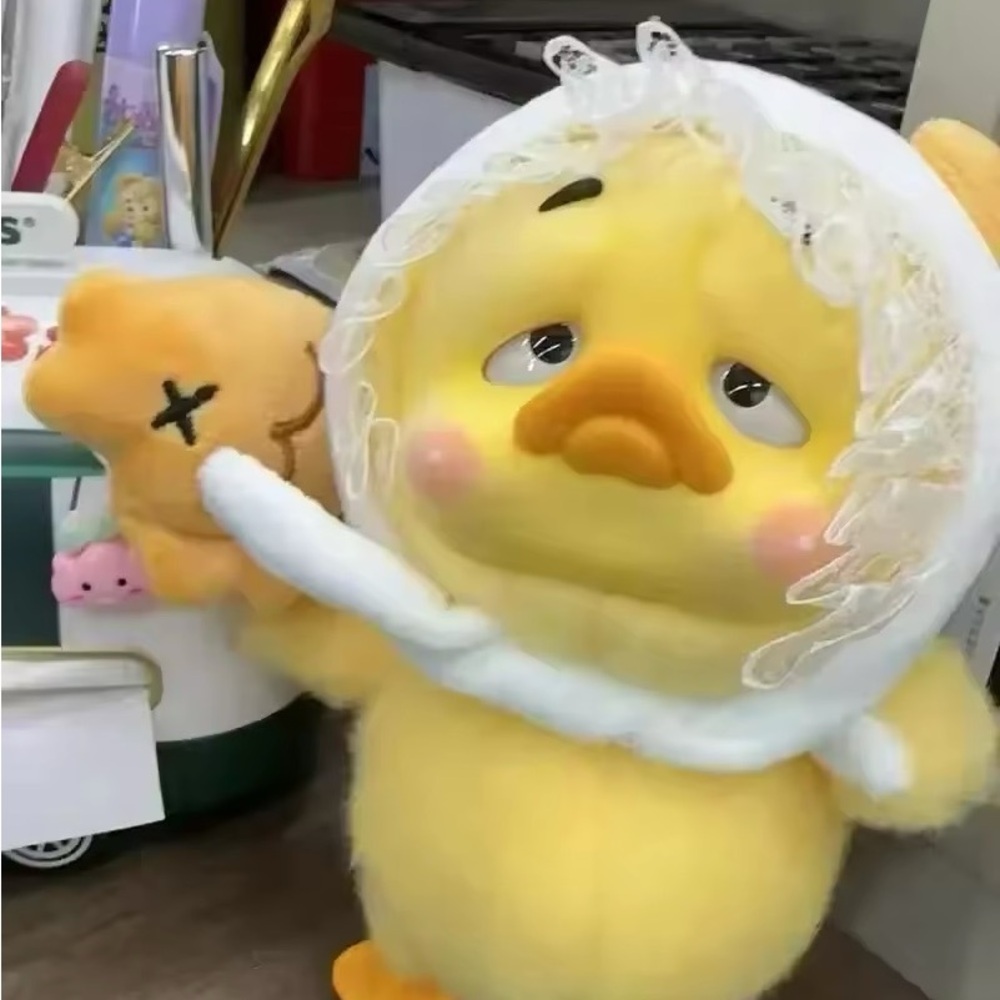 UpsetDuck Unopened Blind Box 🦆 - Picture 11 of 14